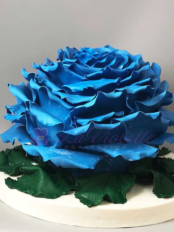 Торт синяя роза №492